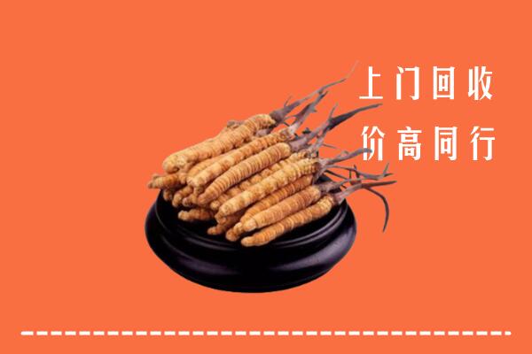 高价求购：景县回收散虫草