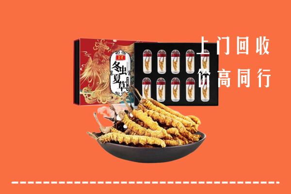 景县回收虫草